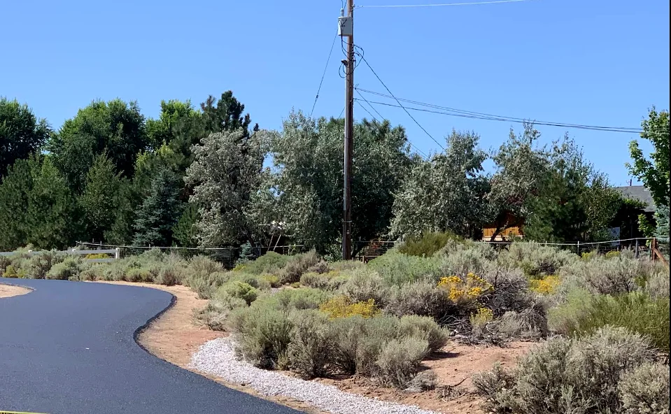 Fresh asphalt edge along a landscaped rural road